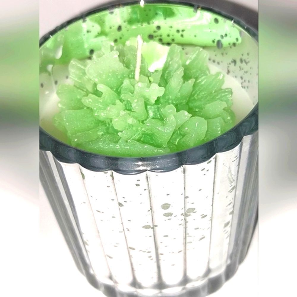 Hand crafted Enchanted Forrest limited edition candle 8oz